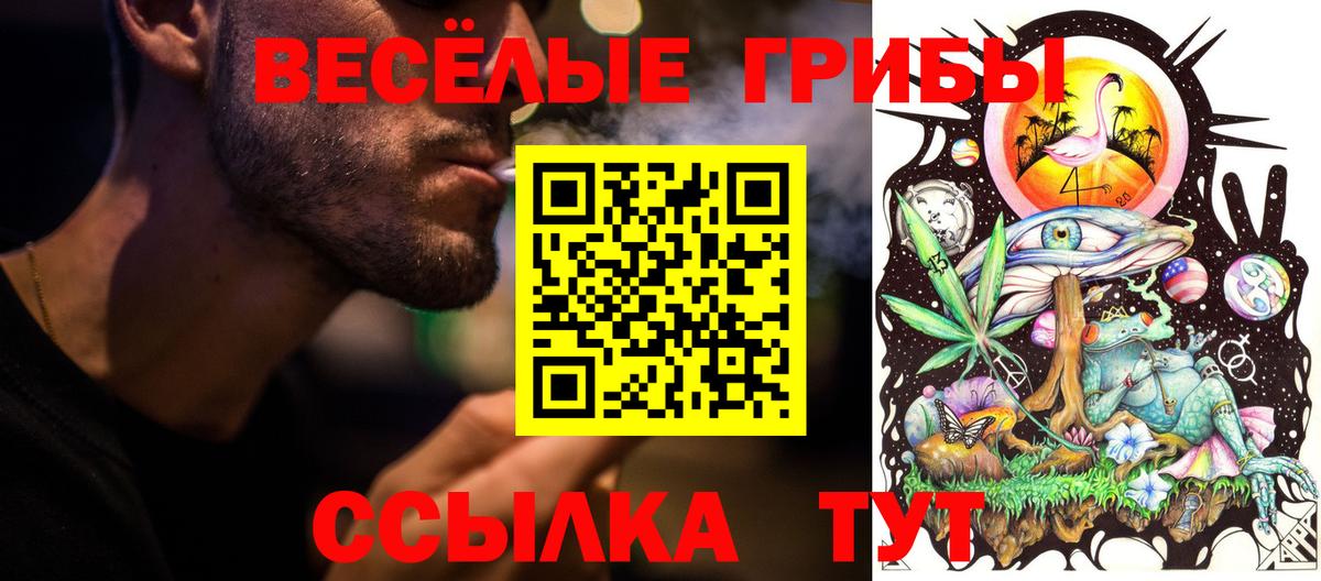 Галлюциногенные грибы Cubensis  Вход с VPN  Псилоцибиновые грибы прущие грибы  наркотики  Россошь 